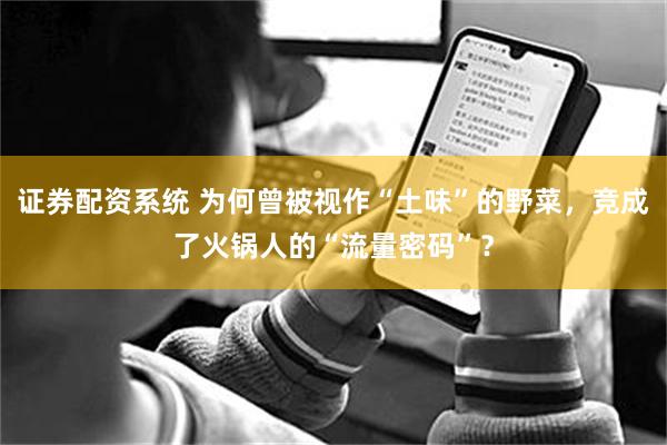 证券配资系统 为何曾被视作“土味”的野菜，竞成了火锅人的“流量密码”？