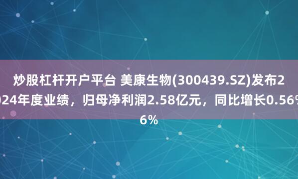 炒股杠杆开户平台 美康生物(300439.SZ)发布2024年度业绩，归母净利润2.58亿元，同比增长0.56%