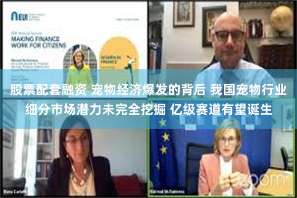 股票配套融资 宠物经济爆发的背后 我国宠物行业细分市场潜力未完全挖掘 亿级赛道有望诞生