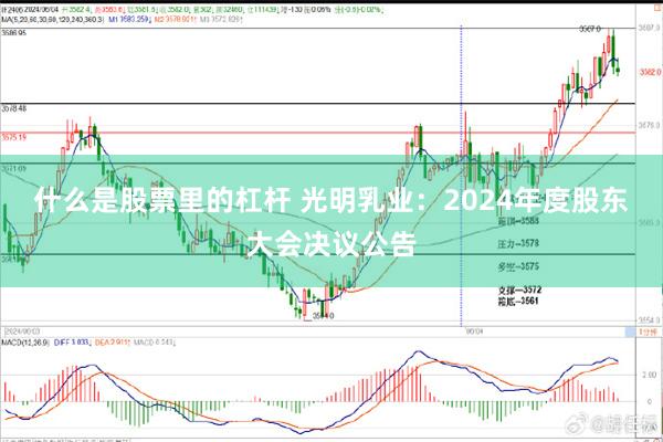 什么是股票里的杠杆 光明乳业：2024年度股东大会决议公告