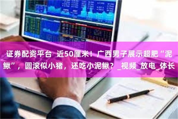 证券配资平台  近50厘米！广西男子展示超肥“泥鳅”，圆滚似小猪，还吃小泥鳅？_视频_放电_体长