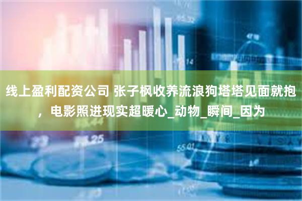 线上盈利配资公司 张子枫收养流浪狗塔塔见面就抱，电影照进现实超暖心_动物_瞬间_因为
