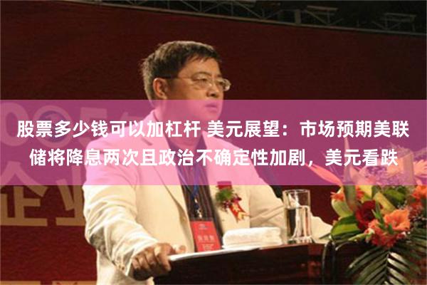 股票多少钱可以加杠杆 美元展望：市场预期美联储将降息两次且政治不确定性加剧，美元看跌