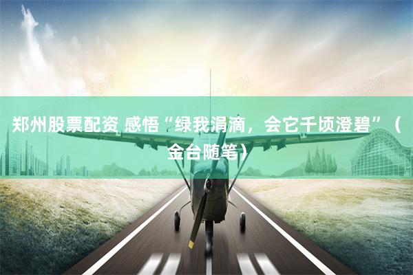 郑州股票配资 感悟“绿我涓滴，会它千顷澄碧”（金台随笔）